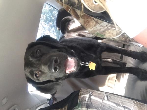 /Images/uploads/Humane Society of Utah/HSUCalendar/entries/1585thumb.jpg